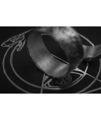 Bague en écailles de serpent – argent 925 sur commande | Livraison en France